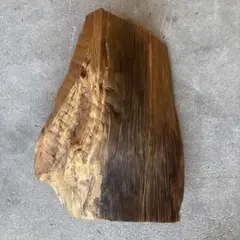 Item thumbnail for item c8bceeb2-f5aa-4585-ae36-de786aa17449