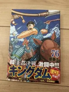 キングダム 76 新品購入で一度読んだのみです