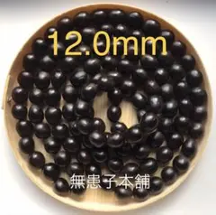 無患子本舗　12.0mm sizeムクロジの種子穴開き110個+増量10個