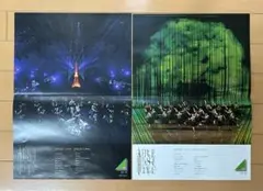 欅坂46 「THE LAST LIVE」 ポスター