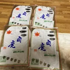 Item thumbnail for item ac5aff09-cfe2-44c6-84b7-7d246f23ae8d