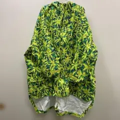 Item thumbnail for item 862feaad-9830-450e-a634-db1c67d6119e