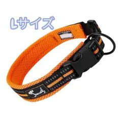 Item thumbnail for item 3ec30922-0081-41f9-9666-b2656a093d67