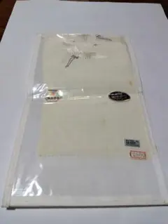 Item thumbnail for item b5a4325b-ea2a-4711-a0a4-97077bf262f3