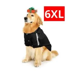 Item thumbnail for item f0d664bb-5ebf-4fad-83cc-8ca378464ad5