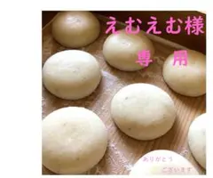 < えむえむ様 専用 ① > おもち2023