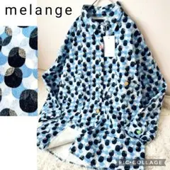 Item thumbnail for item 22150990-89ee-4527-9b6c-79d1b2daf188