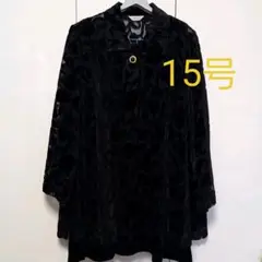 ãæçµå€äžãã ãã©ãŒãã« ãã¬ã¹ 15å·