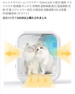 Item thumbnail for item 2d3cf7b4-f863-412e-9fcd-409ea81eeaa9