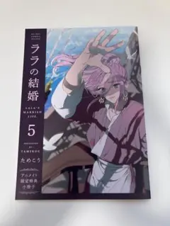 ララの結婚 小冊子