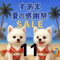 ✨夏の感謝祭セール✨パネル【Ｎｏ．11】新作入り❤️