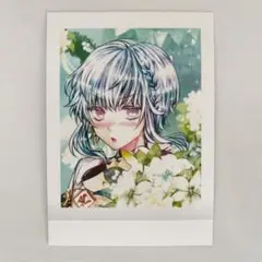 あくねこ フルーレ ぱしゃこれ