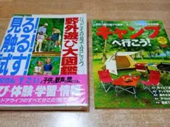 2冊セットです。「野外遊び大図鑑」「キャンプへ行こう！」