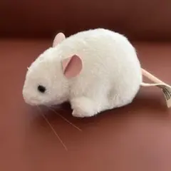 Item thumbnail for item 34305bc2-5353-4098-820f-b2785b1bff9c