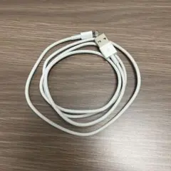 Apple純正 Lightning - USB-A ケーブル