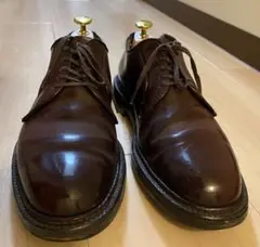 希少サイズ オールデン Alden 990 バーガンディ 6D