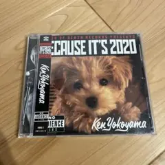 Ken Yokoyama BECAUSE IT'S 2020 CD
