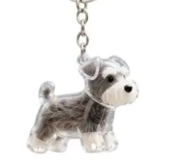 Item thumbnail for item 05d4e421-b425-46a8-84d5-0accd771be12