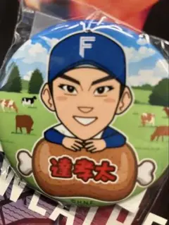 北海道日本ファイターズ 北海道肉祭り 2025 達孝太 缶バッチ