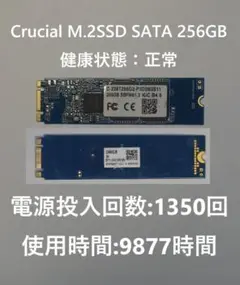 Crucial M.2 SSD SATA 256GB 使用時間：9877時間