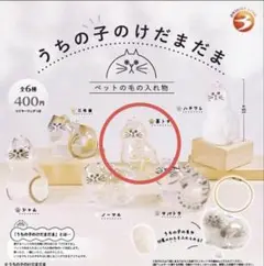 【新品】うちの子のけだまだま〈茶トラ〉