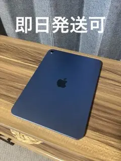 iPad （A16）　ケース付き