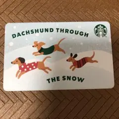 スタバカード　THE SNOW ダックスフンド　犬　ドッグ　ピンコード削り無し