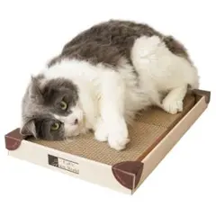 Item thumbnail for item 4678b548-6c2a-49d4-99f3-d6ca74c8dd41