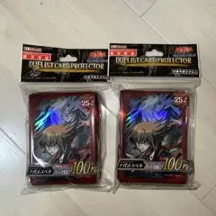 遊戯王　十代&ユベル　スリーブ　プロテクター　未開封　100枚入り　公式