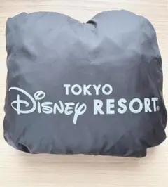 東京ディズニーリゾート レインコート ポンチョ