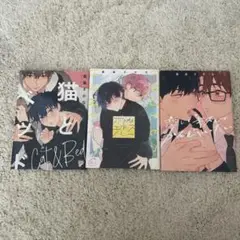 東条さかな ボーイズラブ漫画 3冊セット