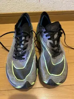 Item thumbnail for item ed34e639-0b11-4220-be3f-712ec8bca2f7