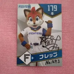 北海道日本ハムファイターズ　フレップ　直筆サイン入りカード　 No.1693