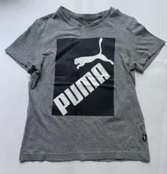 PUMA グレー Tシャツ 130cm