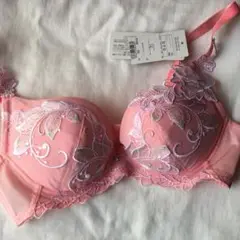 サルート ワコール ブラジャー単品　 D70 新品未使用タグ付き　補正下着