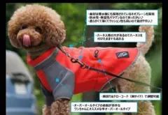 Item thumbnail for item 943f4ac9-254a-471f-811f-ff1d80ebcc3f
