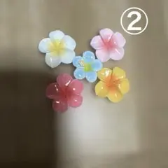 ハイビスカス　パーツ