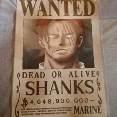 ワンピース　シャンクス　海軍公式手配書