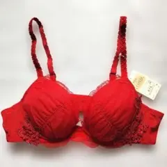 Item thumbnail for item 3643d8c8-531d-40fe-b31d-95fcf996b61e