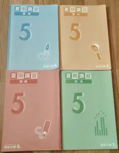【値下げ】四谷大塚夏期講習5年生4科目　テキスト　解答解説付き　算国理社