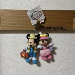 未使用⭐︎ Disney バケーションパッケージ　ミッキー&ミニー　キーホルダー