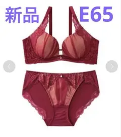 エメフィール　aimerfeel アリアレース 脇高 ブラ　ショーツ E65