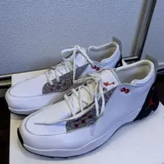 ジョーダン ゴルフシューズ NIKE 完売品 jordan adg2