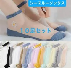 シースルーソックス10足組【未着用】短め靴下　夏にピッタリ薄い靴下　10色セット