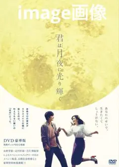 美品 君は月夜に光り輝くDVD 豪華版 特典DISC2枚付 北村匠海 永野芽郁