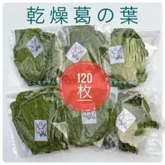 Item thumbnail for item 15bfaca0-2660-4392-8ae9-882fb7e88684