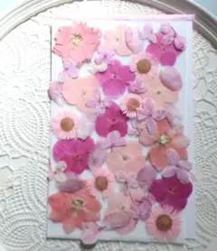 押し花　ピンク系小花セット