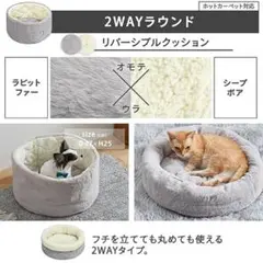 Item thumbnail for item e3090261-a297-481a-a45b-407c8ef23a03