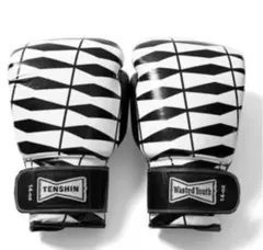 TEAM TENSHIN Verdy popup 限定 ボクシング グローブ