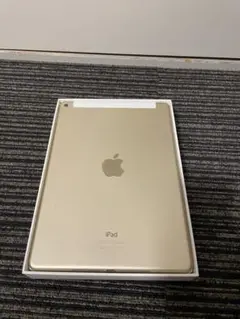 Apple iPad Air 2 16GB Wi-Fi+Cellularモデル